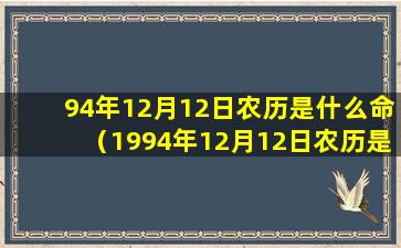 94年12月12日农历是什么命（1994年12月12日农历是什么命）