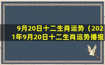 9月20日十二生肖运势（2021年9月20日十二生肖运势播报）