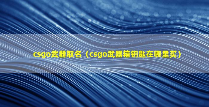 csgo武器取名（csgo武器箱钥匙在哪里买）