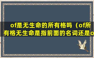 of是无生命的所有格吗（of所有格无生命是指前面的名词还是of后面的名词）