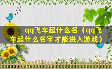 qq飞车起什么名（qq飞车起什么名字才能进入游戏）