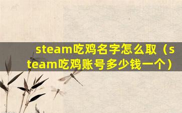 steam吃鸡名字怎么取（steam吃鸡账号多少钱一个）