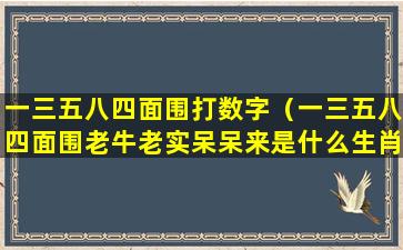 一三五八四面围打数字（一三五八四面围老牛老实呆呆来是什么生肖）