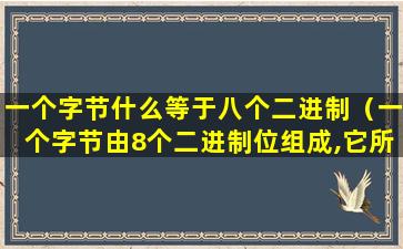 一个字节什么等于八个二进制（一个字节由8个二进制位组成,它所能表示十进制）