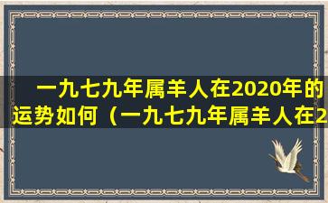 一九七九年属羊人在2020年的运势如何（一九七九年属羊人在2020年的运势如何样）