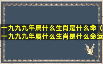 一九九九年属什么生肖是什么命（一九九九年属什么生肖是什么命运）