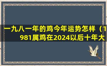 一九八一年的鸡今年运势怎样（1981属鸡在2024以后十年大运）