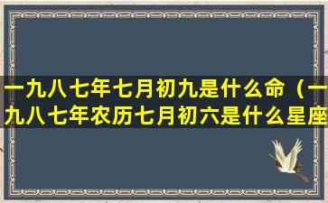 一九八七年七月初九是什么命（一九八七年农历七月初六是什么星座）