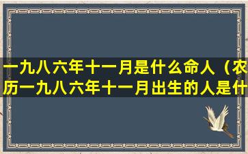 一九八六年十一月是什么命人（农历一九八六年十一月出生的人是什么星座）