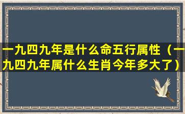 一九四九年是什么命五行属性（一九四九年属什么生肖今年多大了）