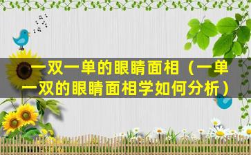 一双一单的眼睛面相（一单一双的眼睛面相学如何分析）