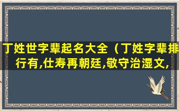 丁姓世字辈起名大全（丁姓字辈排行有,仕寿再朝廷,敬守治湿文,的行没有）