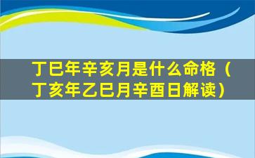 丁巳年辛亥月是什么命格（丁亥年乙巳月辛酉日解读）