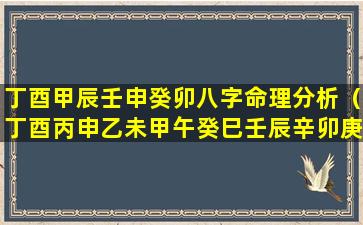 丁酉甲辰壬申癸卯八字命理分析（丁酉丙申乙未甲午癸巳壬辰辛卯庚寅）