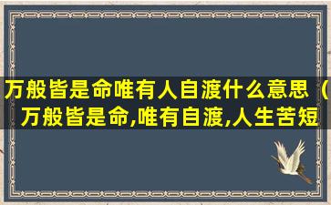 万般皆是命唯有人自渡什么意思（万般皆是命,唯有自渡,人生苦短,我亦向阳）