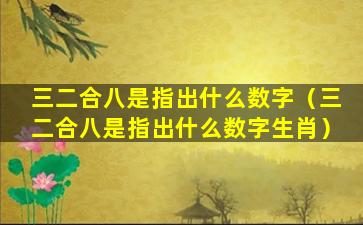 三二合八是指出什么数字（三二合八是指出什么数字生肖）