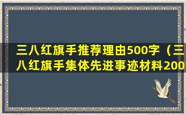 三八红旗手推荐理由500字（三八红旗手集体先进事迹材料2000字）