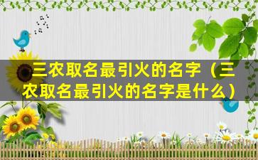 三农取名最引火的名字（三农取名最引火的名字是什么）