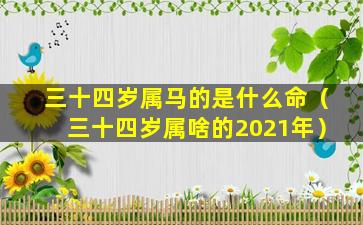 三十四岁属马的是什么命（三十四岁属啥的2021年）