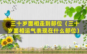 三十岁面相走到部位（三十岁面相运气表现在什么部位）