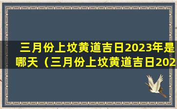 三月份上坟黄道吉日2023年是哪天（三月份上坟黄道吉日2023年是哪天呢）