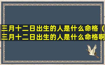 三月十二日出生的人是什么命格（三月十二日出生的人是什么命格啊）