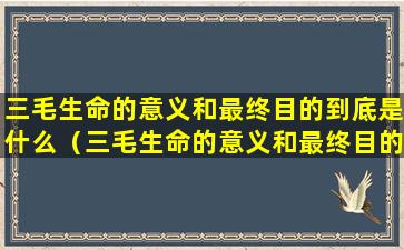 三毛生命的意义和最终目的到底是什么（三毛生命的意义和最终目的到底是什么意思）