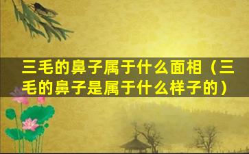 三毛的鼻子属于什么面相（三毛的鼻子是属于什么样子的）