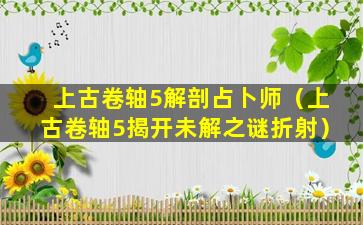 上古卷轴5解剖占卜师（上古卷轴5揭开未解之谜折射）