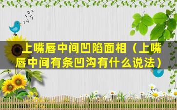 上嘴唇中间凹陷面相（上嘴唇中间有条凹沟有什么说法）