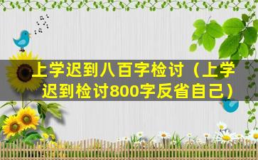 上学迟到八百字检讨（上学迟到检讨800字反省自己）