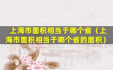 上海市面积相当于哪个省（上海市面积相当于哪个省的面积）