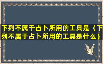 下列不属于占卜所用的工具是（下列不属于占卜所用的工具是什么）