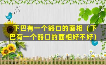 下巴有一个豁口的面相（下巴有一个豁口的面相好不好）