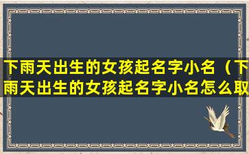 下雨天出生的女孩起名字小名（下雨天出生的女孩起名字小名怎么取）