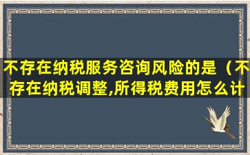 不存在纳税服务咨询风险的是（不存在纳税调整,所得税费用怎么计算）