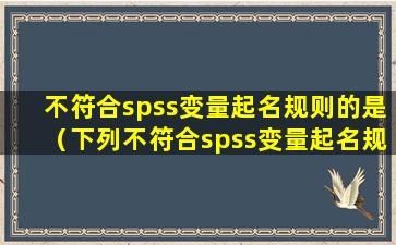 不符合spss变量起名规则的是（下列不符合spss变量起名规则的是）