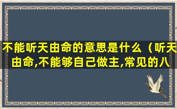 不能听天由命的意思是什么（听天由命,不能够自己做主,常见的八字谚语是什么）