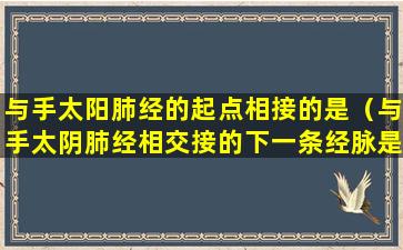 与手太阳肺经的起点相接的是（与手太阴肺经相交接的下一条经脉是）