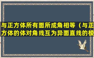 与正方体所有面所成角相等（与正方体的体对角线互为异面直线的棱有几条）