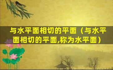 与水平面相切的平面（与水平面相切的平面,称为水平面）