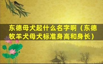 东德母犬起什么名字啊（东德牧羊犬母犬标准身高和身长）