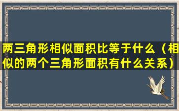 两三角形相似面积比等于什么（相似的两个三角形面积有什么关系）