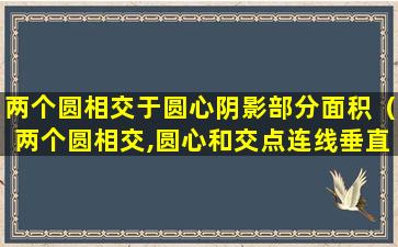 两个圆相交于圆心阴影部分面积（两个圆相交,圆心和交点连线垂直吗）