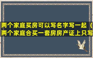 两个家庭买房可以写名字写一起（两个家庭合买一套房房产证上只写两家的各一个人）