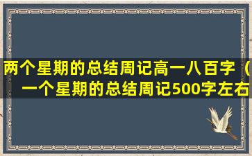 两个星期的总结周记高一八百字（一个星期的总结周记500字左右初二）