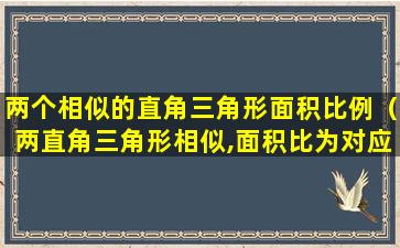 两个相似的直角三角形面积比例（两直角三角形相似,面积比为对应边的平方）