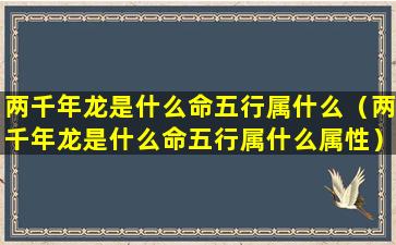 两千年龙是什么命五行属什么（两千年龙是什么命五行属什么属性）