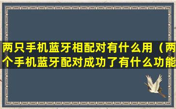 两只手机蓝牙相配对有什么用（两个手机蓝牙配对成功了有什么功能）