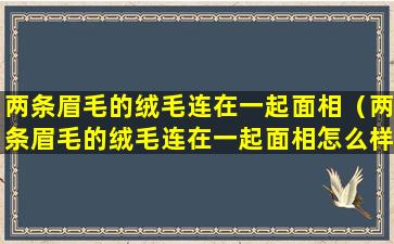 两条眉毛的绒毛连在一起面相（两条眉毛的绒毛连在一起面相怎么样）